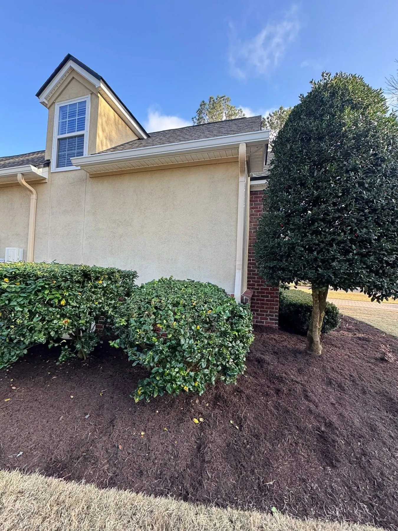 Downspout on a stucco home beside fresh landscaping